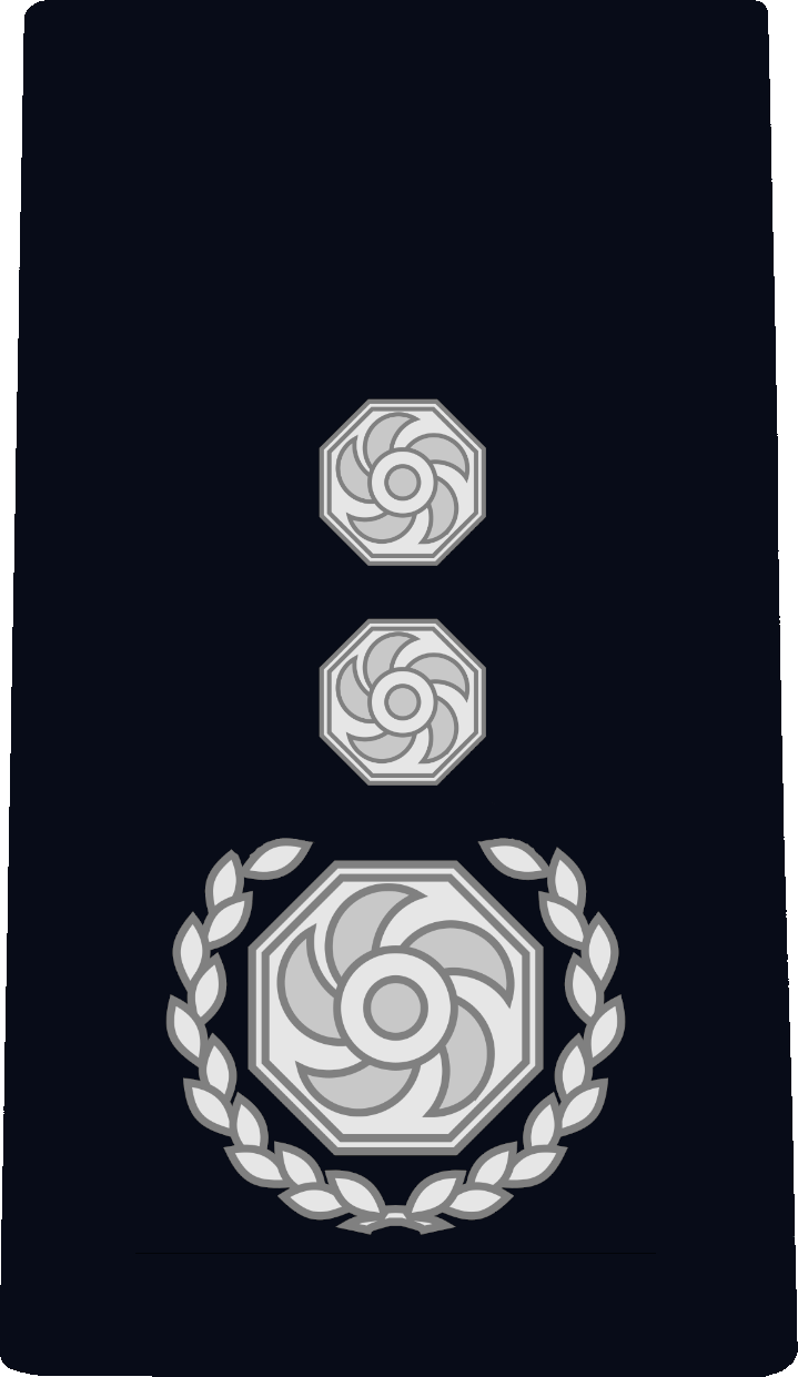 Chief Fire Officer rank insignia